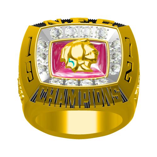 redskins championship rings