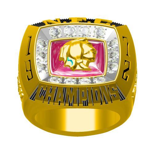 1983 Washington Redskins NFC Championship Ring -  www.championshipringclub.com